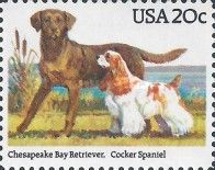 Chesapeake Bay Retriever and Cocker Spaniel
