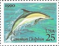Common Dolphin (Delphinus delphis)
