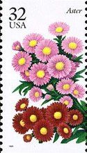 Aster