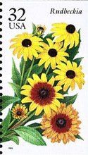 Rudbeckia