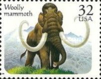 Woolly Mammoth (Mammuthus sp.)