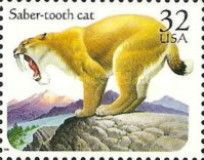 Saber-tooth Cat