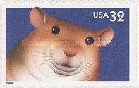 Hamster