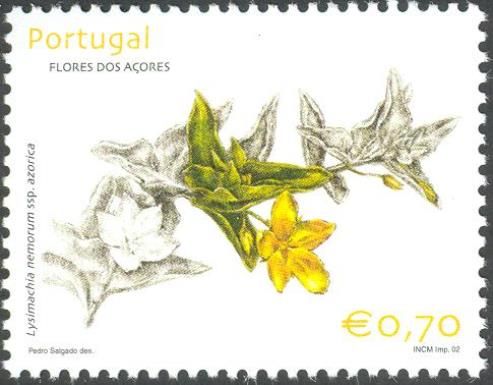Lysimachia nemorum