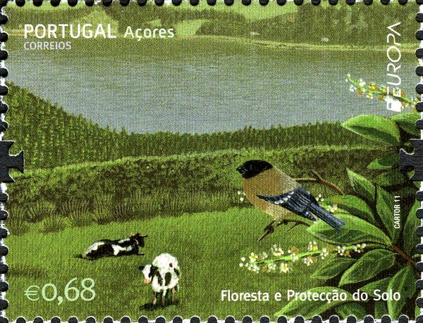 Azores Bullfinch (Pyrrhula murina), Cattle (Bos primigenius 