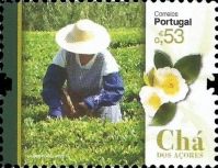 Tea of the Azores