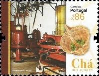 Tea of the Azores