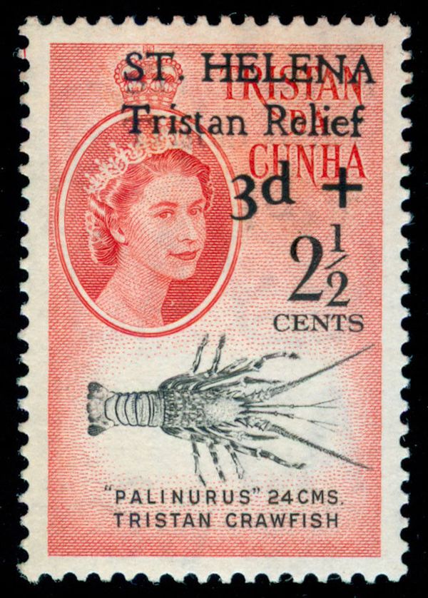 Tristan Rock Lobster (Jasus tristani)