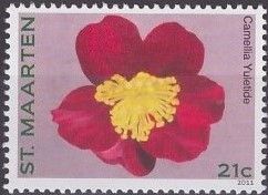 Camellia "Yuletide"