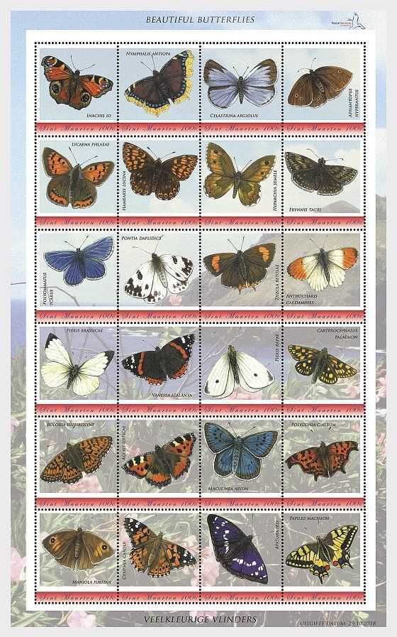 Beautiful Butterflies of Sint Maarten