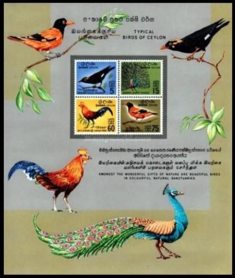 Birds from definitive series