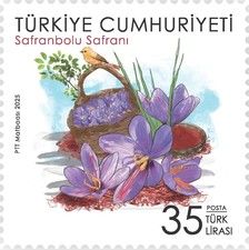 Safranbolu Saffron