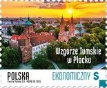 Tumskie Hill, Płock