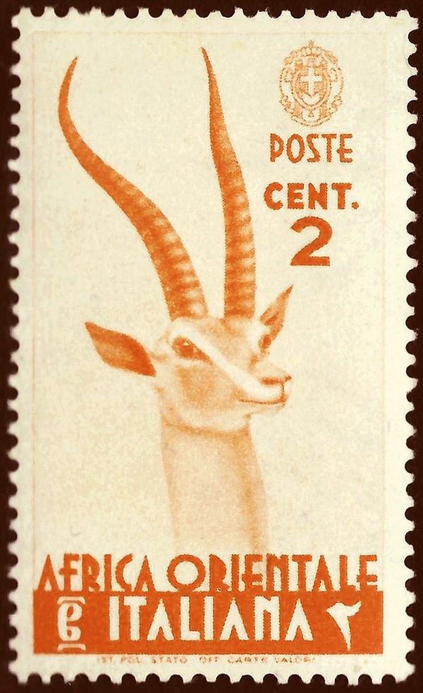 Grant's Gazelle (Gazella granti)