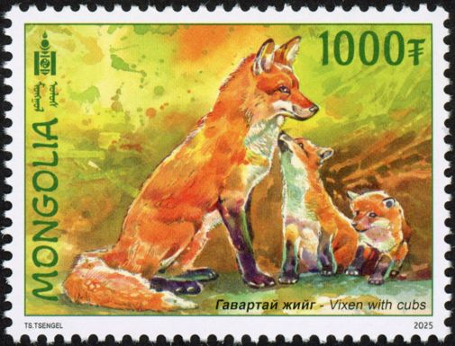 Red Fox (Vulpes vulpes)