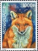 Red Fox (Vulpes vulpes)