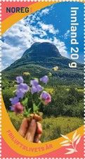 Harebell Flowers and Mount Stabben