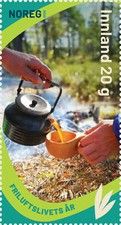 Serving Tea at Picnic