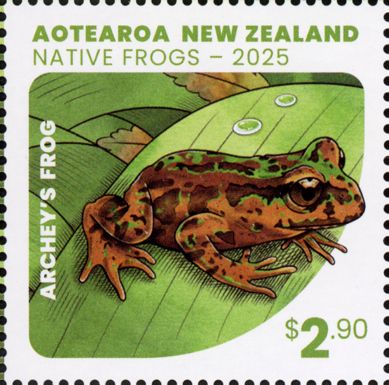 Archey's Frog (Leiopelma archeyi)