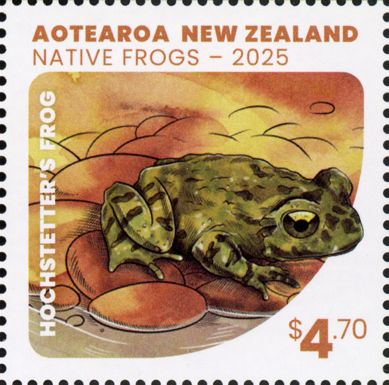 Hochstetter's Frog (Leiopelma hochstetteri)