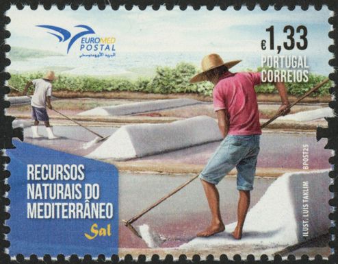 Salt Making