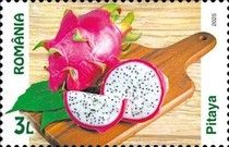 Dragon Fruit