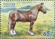 Novoaleksandrovsky Stud Horse Farm, 200 Years