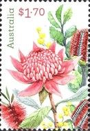 Native Flowers of Australia