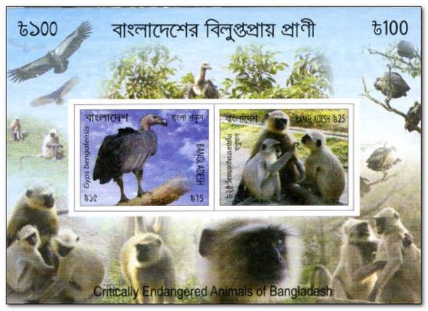 Critically Endangered Animals of Bangladesh