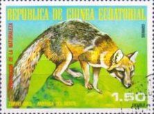 Gray Fox (Urocyon cinereoargenteus)
