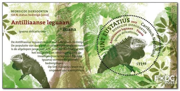 Lesser Antillean Iguana (Iguana delicatissima)
