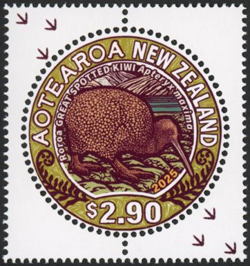 Great Spotted Kiwi (Apteryx maxima)
