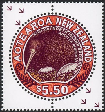 North Island Brown Kiwi (Apteryx mantelli)