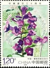 Canterbury Bells (Campanula medium)