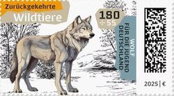 Wolf