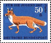 Red Fox (Vulpes vulpes)