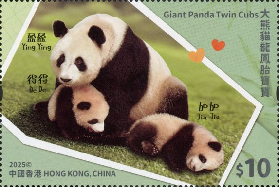 Ying Ying, Jia Jia and De De