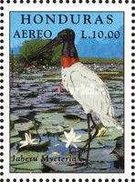 Jabiru, 'Jabiru Mycteria'