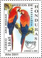 Scarlet Macaw (Ara macao)