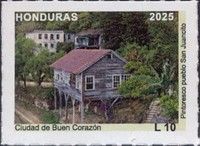 San Juancito District View