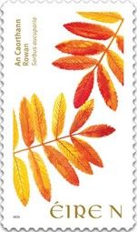 Rowan