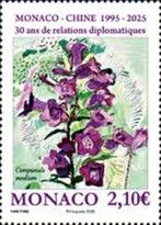 Canterbury Bells (Campanula medium)