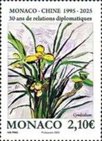 Boat Orchd (Cymbidium sp)