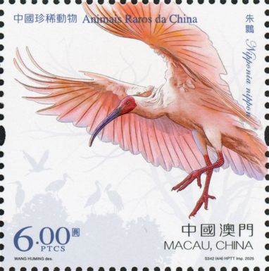 Crested Ibis (Nipponia nippon)