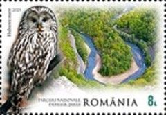 Ural Owl (Strix uralensis)