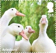 Aylesbury