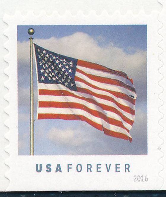 U.S.A. Flag