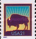 American Bison (Bos bison)
