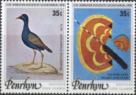 Common Gallinule (Gallinula chloropus)