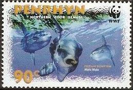 Ocean Sunfish Mola Mola